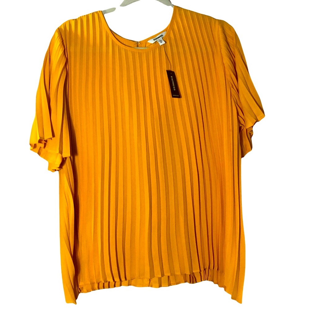 Express Plus Size Accordion Pleated Blouse